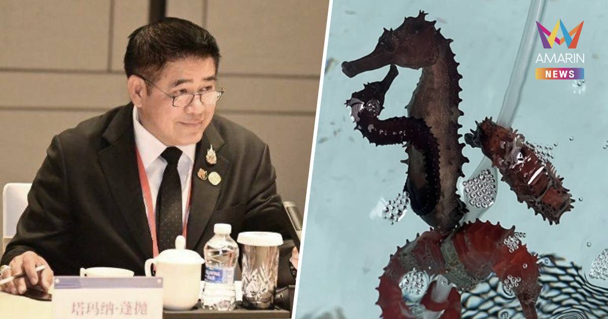 "ธรรมนัส" ลุยเจรจาดัน "ม้าน้ำตากแห้ง" กลับเข้าสู่ตลาดจีนอีกครั้ง!