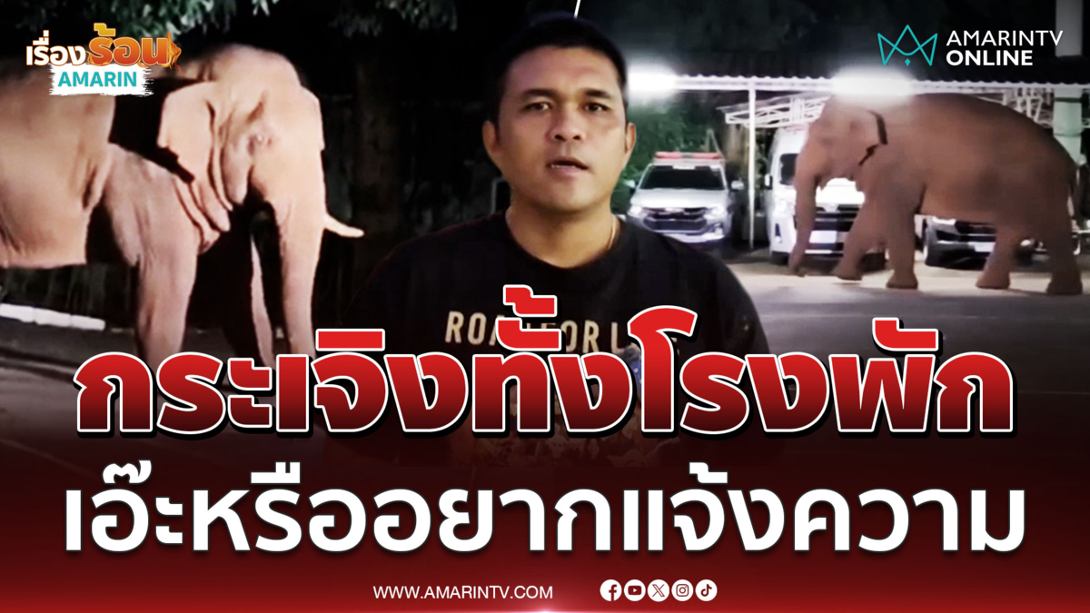 มาแบบนี้ตำรวจกระเจิง ช้างป่าอยากแจ้งความ