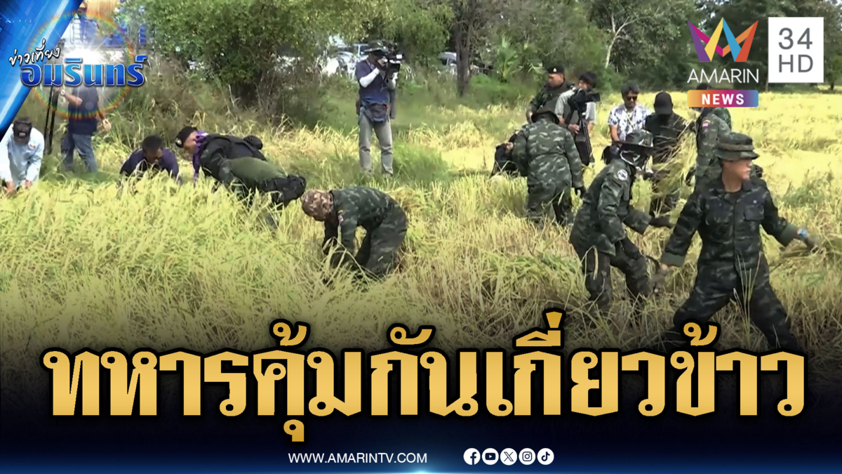 ทหารจัดกำลังคุ้มกันเกี่ยวข้าว-“บุ๋ม-ฝันเด่น” ร่วมช่วยชาวบ้าน