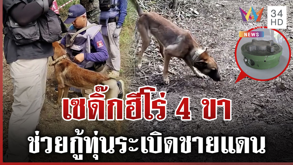 เปิดตัว "เซดิ๊ก" ฮีโร่ 4 ขา-ช่วยภารกิจกู้ทุ่นระเบิดชายแดน