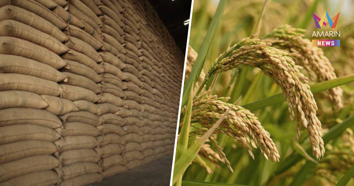 “พาณิชย์” เผย ตลาดข้าวคึกคัก ข้าวหอมมะลิราคาแตะ 16,100 บาท/ตัน