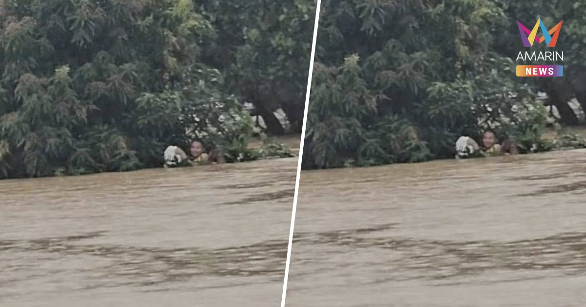 กันจอมพลัง เร่งช่วยเหลือ ผู้ประสบภัยลอยคอเกาะต้นไม้