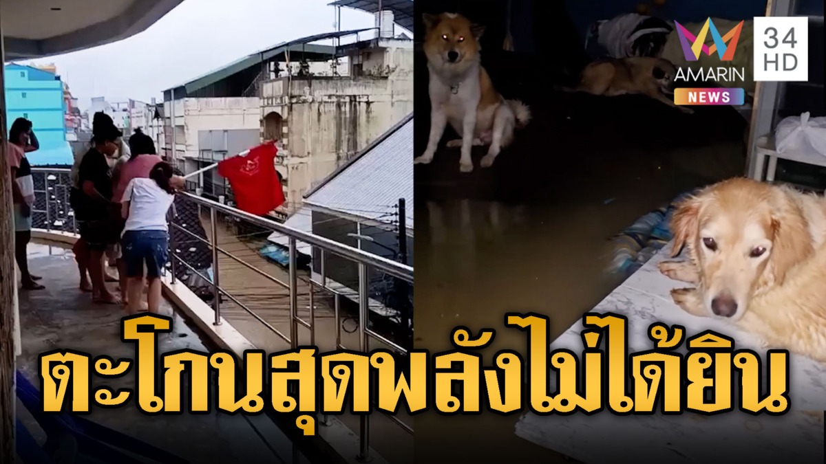 ตะโกนสุดพลังหวังให้ช่วยแต่ไร้ผล  ติดอยู่บ้านน้ำท่วมหาดใหญ่