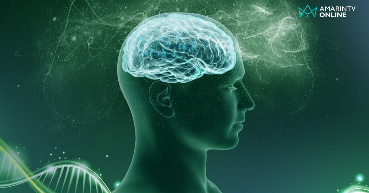 ไฮโดรไลซ์เปปไทด์จากไก่ (โปรเบปทิเจน®) มีงานวิจัยรองรับ ช่วยเสริมความจำ