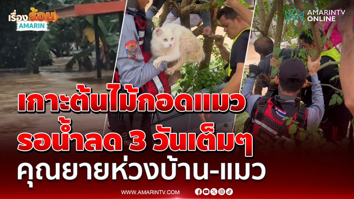 ยายเกาะต้นไม้กอดแมวแน่น 3 วันเต็มๆ ท่ามกลางน้ำท่วมสูง