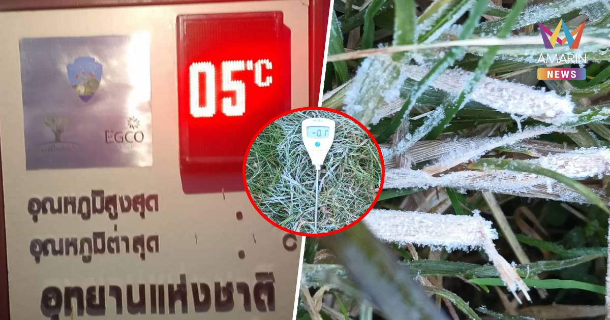ดอยอินทนนท์ไม่แผ่ว! เหมยขาบโผล่วันที่ 8 บนยอดหญ้าวัดได้ -0.1 องศาฯ