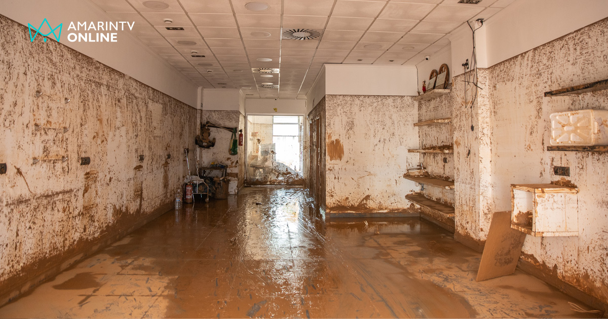 วิธีกำจัดเชื้อราในบ้านที่ถูกน้ำท่วม อันตรายที่ไม่ควรมองข้ามหลังน้ำลด