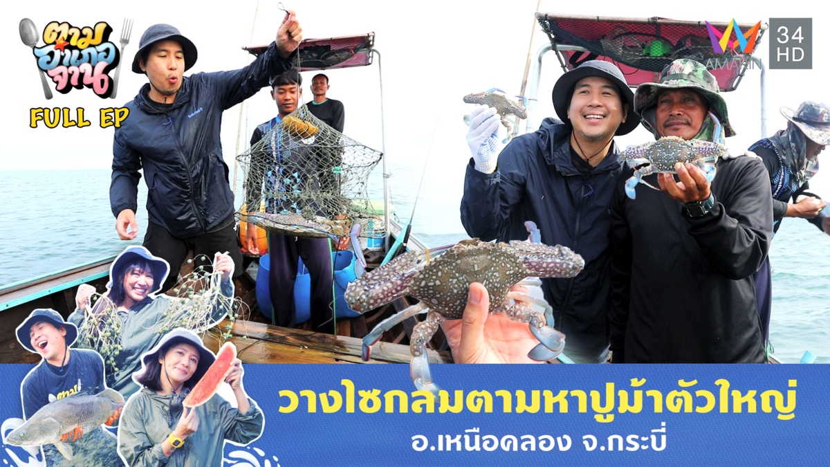 วางไซกลมตามหาปูม้าตัวใหญ่ อ.เหนือคลอง จ.กระบี่