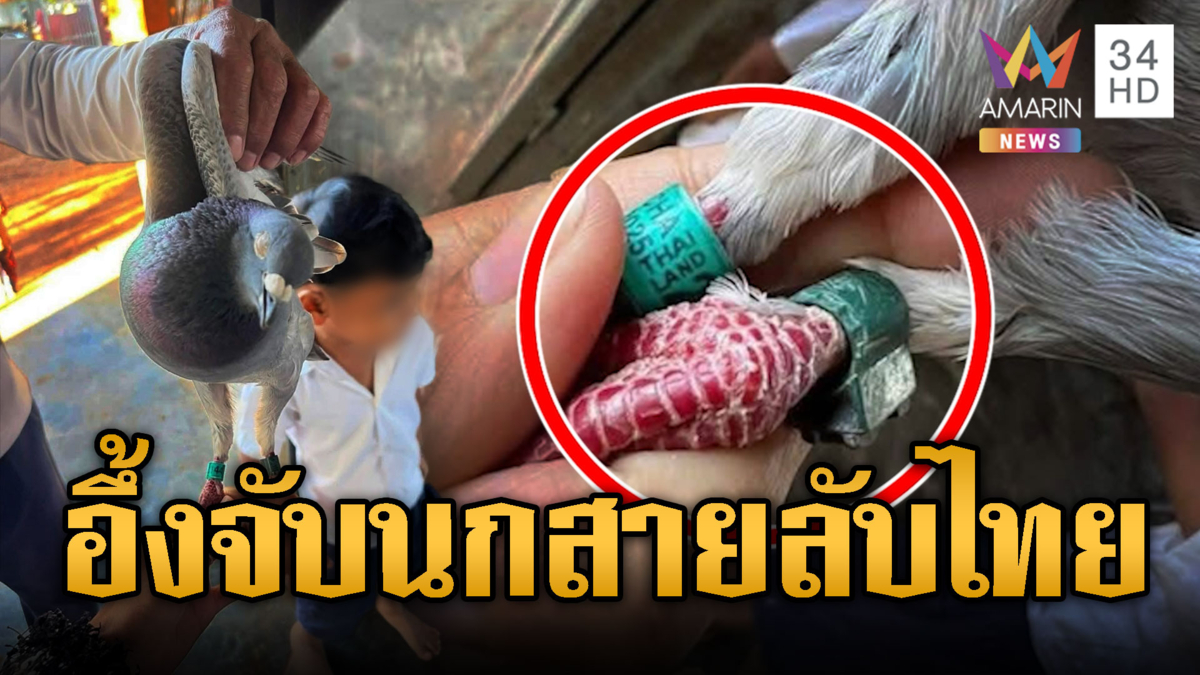อึ้ง! ครูวิทย์ฯเขมรอ้าง ไทยใช้นกพิราบสายลับ