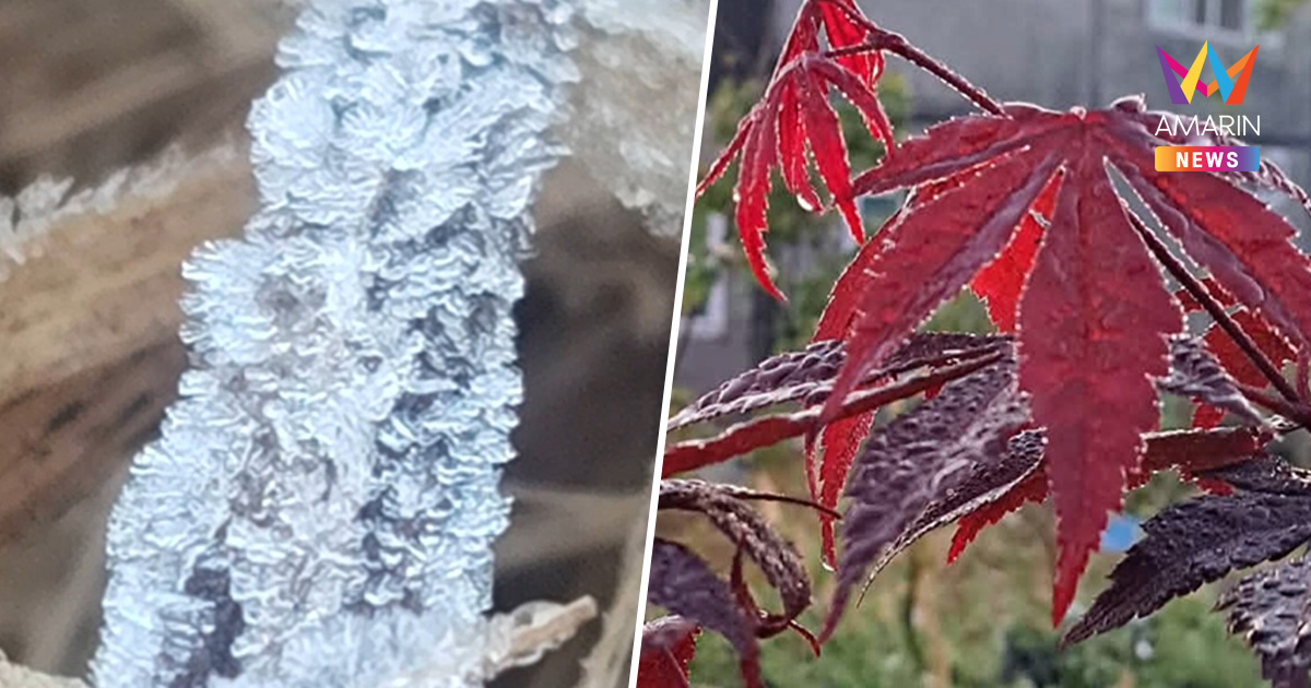 น้ำหนาวเป็นน้ำแข็ง! อุณหภูมิดิ่ง -2 องศา แม่คะนิ้งโผล่ขาวโพลนรับปี 69