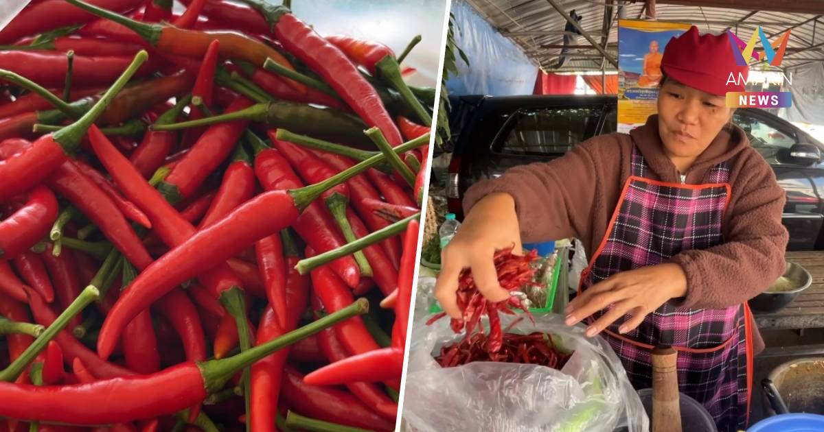 พริกขี้หนูสดราคาพุ่ง กก.ละ 200 บาท ร้านส้มตำเปลี่ยนมาใช้พริกแห้งแทน