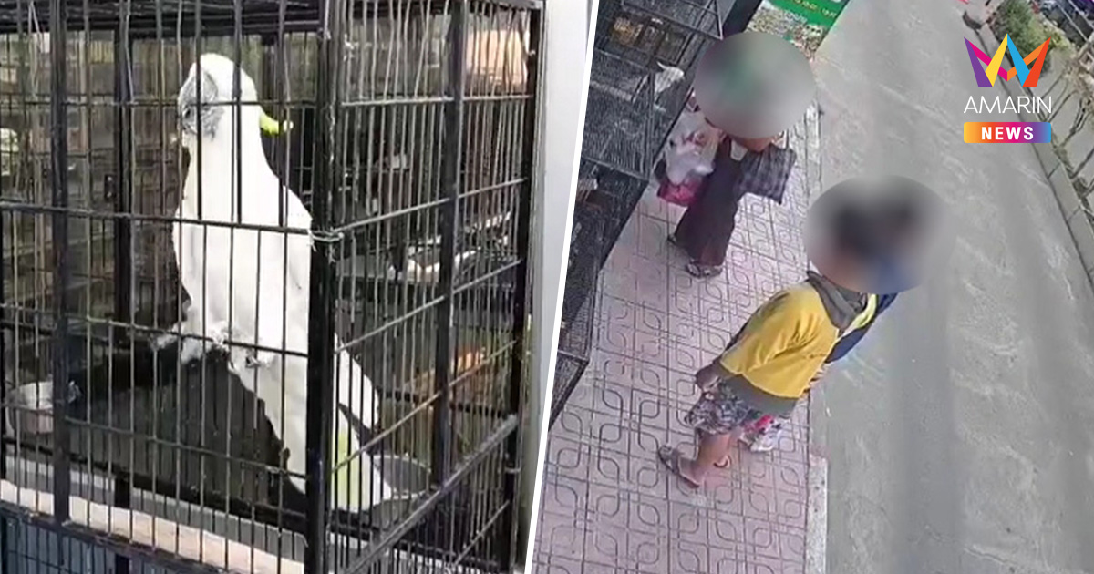 ดรามาสนั่น! หญิงชราป้อน "ลูกชิ้นเผ็ด" ให้นกกระตั้วราคา 4.5 หมื่นกิน