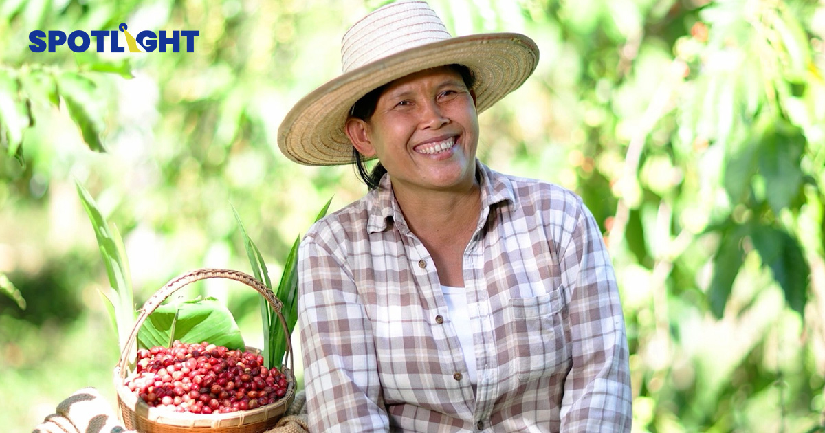 เบื้องหลัง แก้ว ‘เนสกาแฟ’ จากสวนกาแฟไทย...สู่แก้วของคุณ
