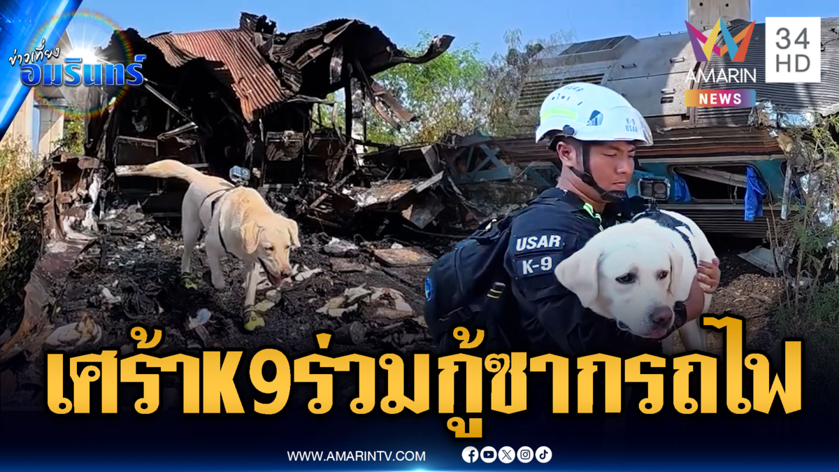 ใช้สุนัข K9 ตรวจขบวนรถไฟไฟไหม้จากเครนถล่ม