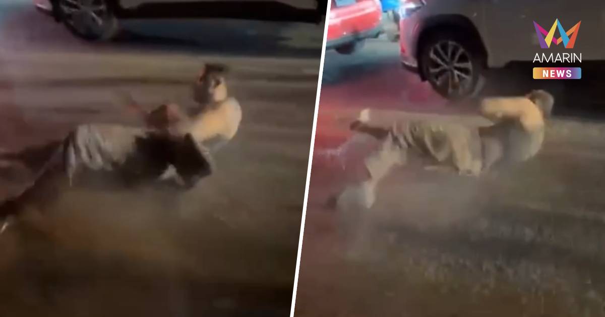 ไปโดนตัวไหนมา! ชายต่างชาตินอนกลิ้งกลางถนนใกล้งาน EDC ภูเก็ต