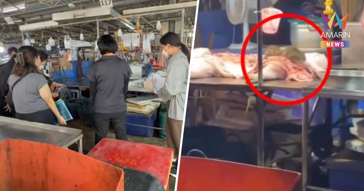 ลุย! ตรวจความสะอาดตลาด หลังหนูบุกกินหมูคาเขียง