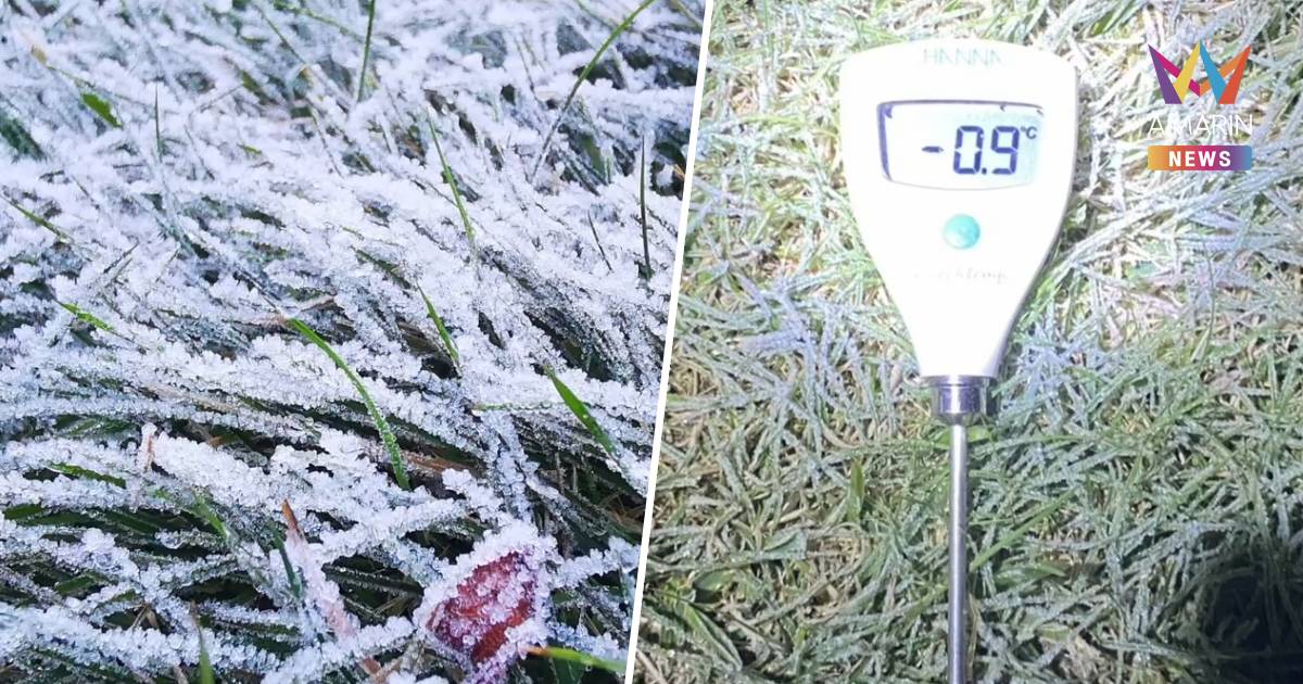 ดอยอินทนนท์หนาวยะเยือก ยอดหญ้า -0.9 องศาฯ