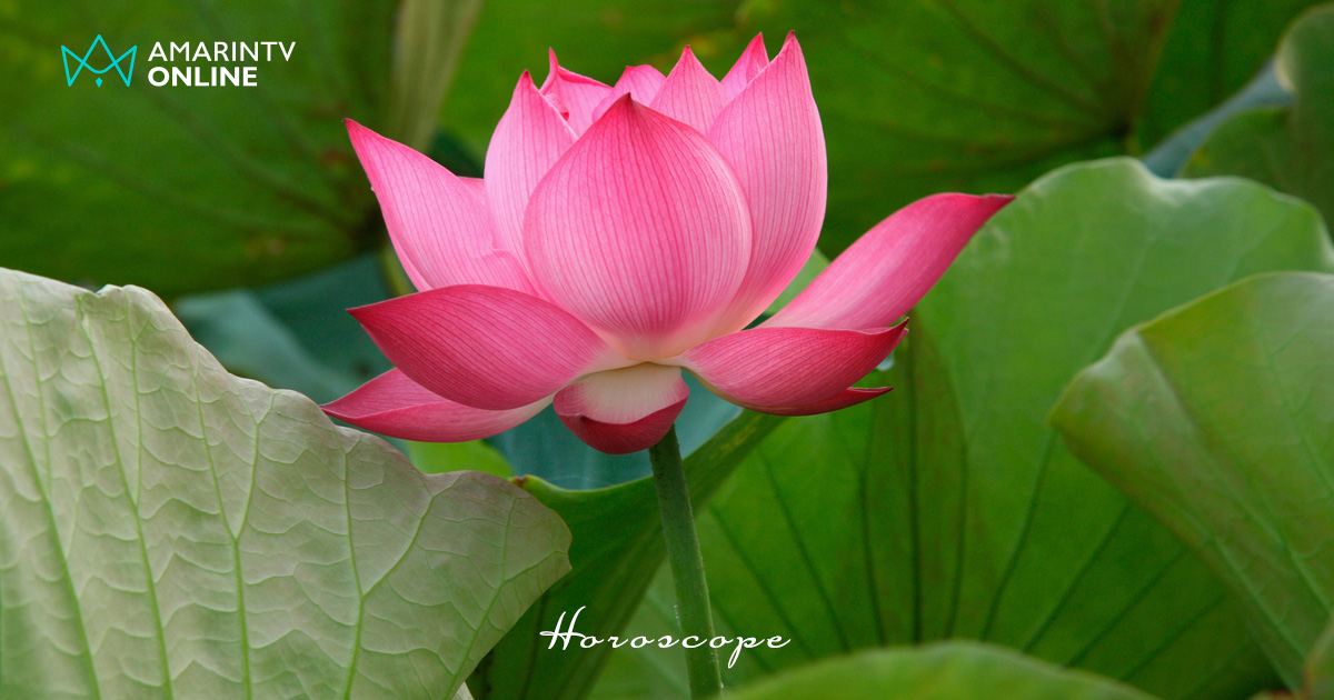 วันธงชัย เดือนธันวาคม 2569 เช็กฤกษ์ดี วันมงคล มหาฤกษ์ มีวันไหนบ้าง ?