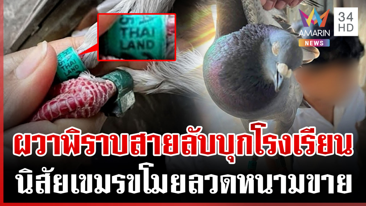 ครูเขมรหลอน! จับสายลับนกพิราบติด GPS-เล่นละครทหารขู่ไล่พ้นโอร์เสม็ด