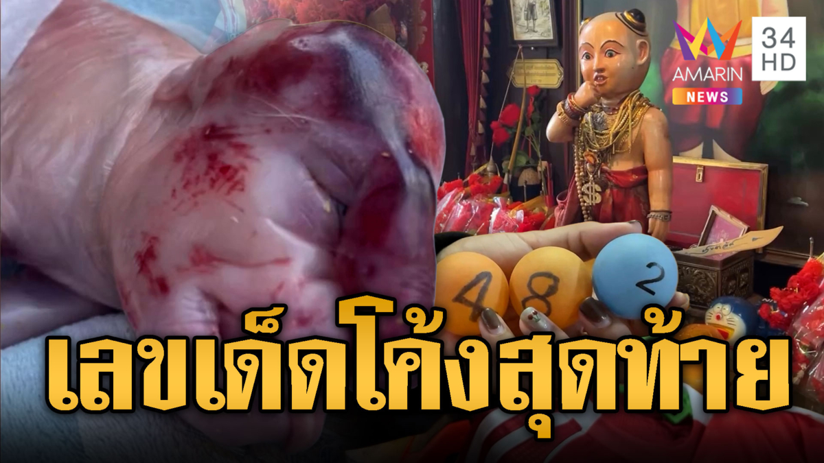 ถอดรหัสเลขเด็ดโค้งสุดท้าย! ตะลึงลูกหมูมีงวง-ส้มฉุนให้โชค
