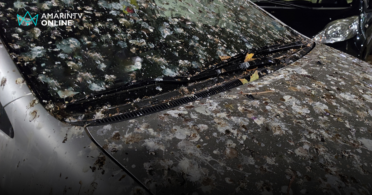 คราบขี้นก-ยางไม้ ศัตรูเงียบกัดกินสีรถยนต์ กำจัดคราบฝังลึกให้หลุดกระจาย