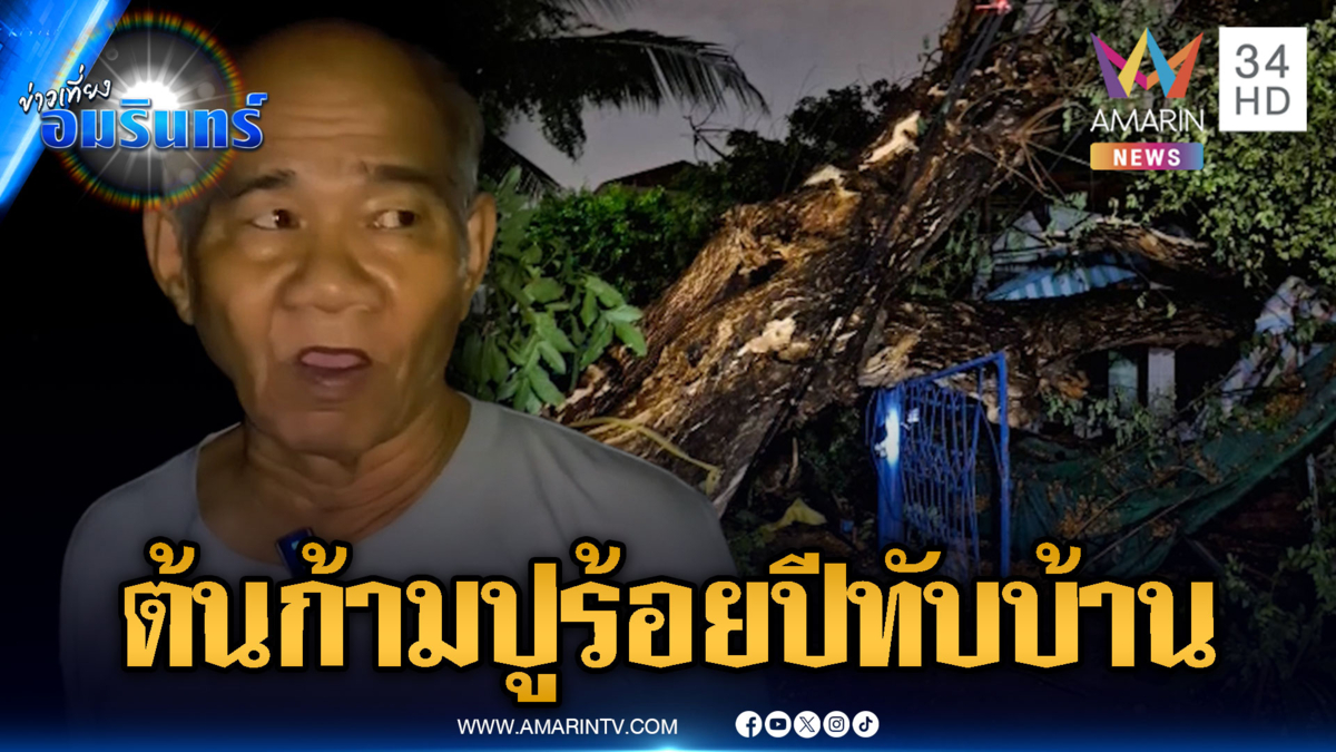 ระทึกฝนถล่ม! ต้นก้ามปูยักษ์อายุนับ 100 ปี โค่นทับบ้าน