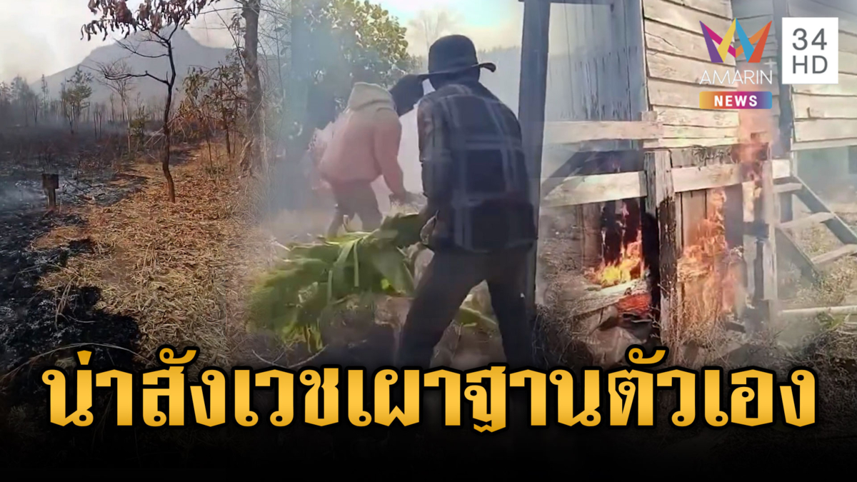 ทหารเขมรเสียงเศร้า! เผาป่าป่วนไทย แต่ลมหวนไหม้ฐานตัวเอง
