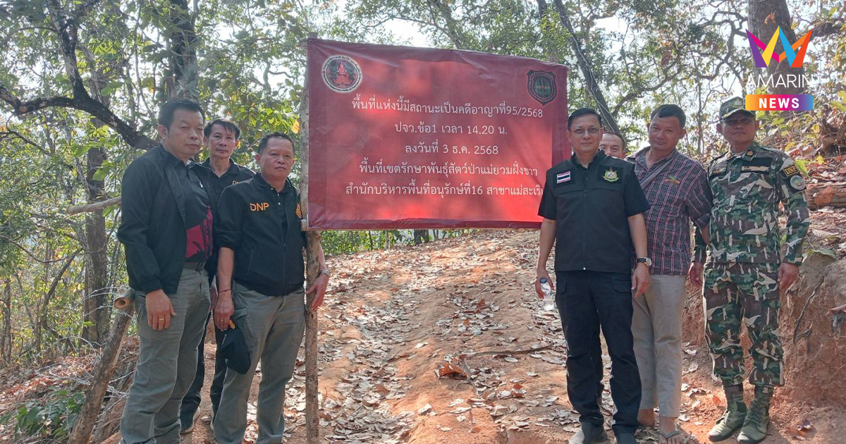 แฉอดีตหน.เขตฯแอบอ้างงบหลวง หลอกชาวบ้านตัดไม้ขุดถนนรุกป่า 6.6 กม.