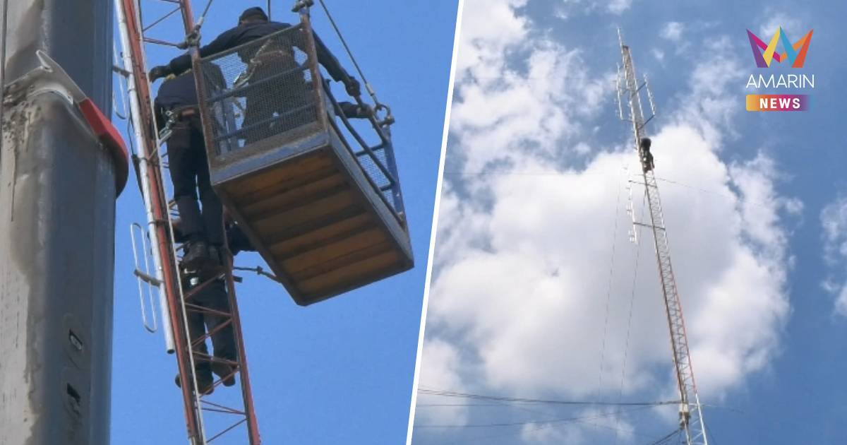 ระทึก ตำรวจปีนซ่อมเสาส่งสัญญาณสูง 40 เมตร หมดสติห้อยอยู่บนยอดเสา