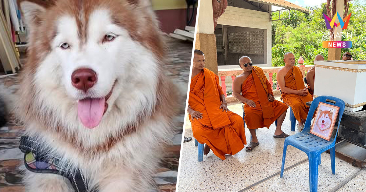 ครูต้นหลิวโพสต์คลิปบีบหัวใจ จัดพิธีเผาร่าง ส่ง "น้องมอลลี่" กลับดาวหมา