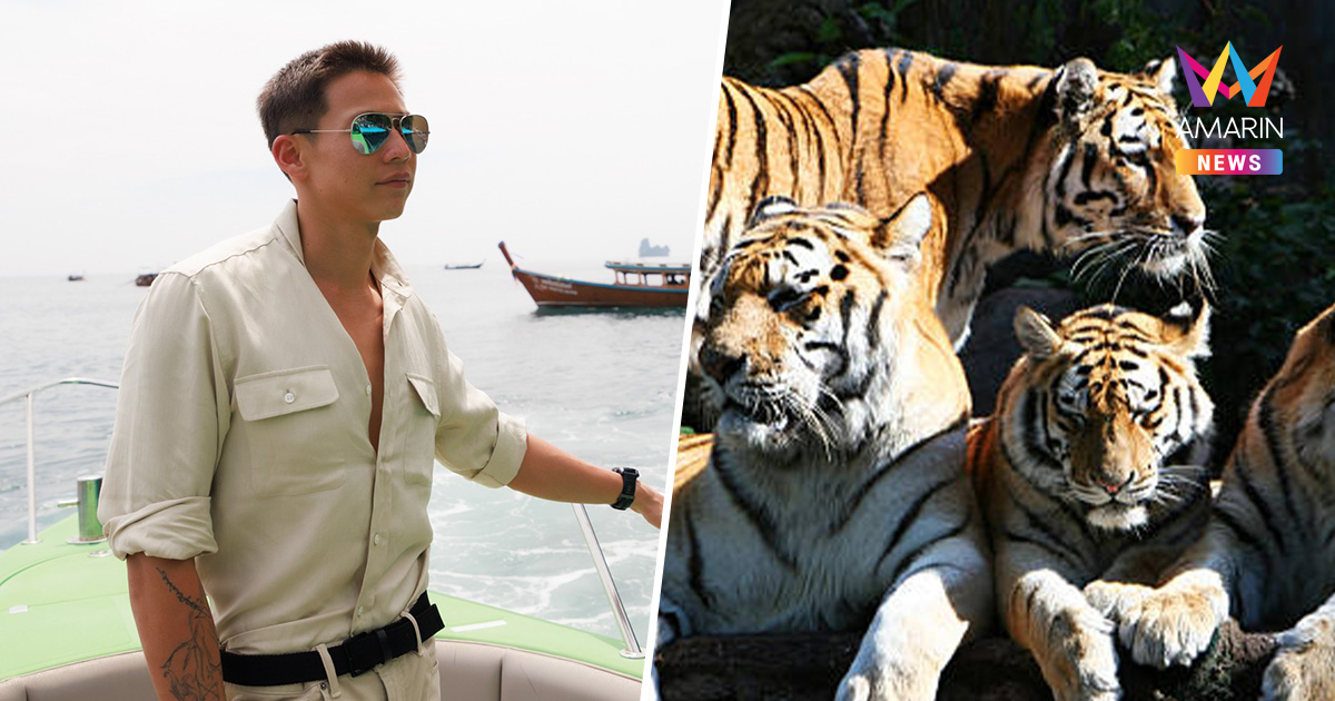 "ทราย สก็อต" เดือด! เสือตายเกลื่อน ลั่นถามซากจากนี้ไปไหนต่อ?