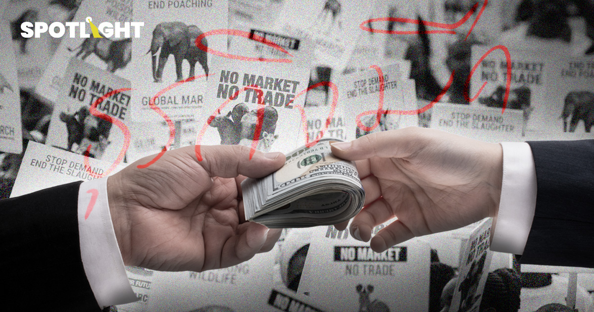 เปิดธุรกิจ (มืด) ค้าสัตว์ป่า อาเซียนขึ้นแท่นฮอทสปอทโลก มูลค่ามหาศาล