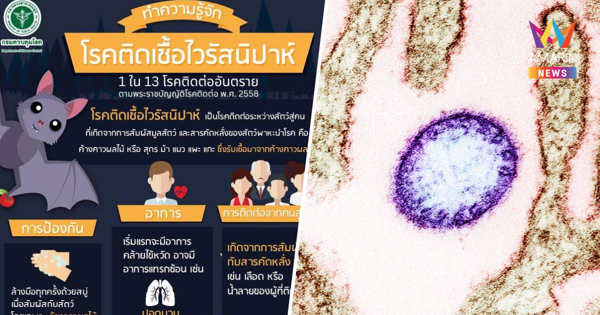 "กรมควบคุมโรค" เฝ้าระวัง "ไวรัสนิปาห์" หลังพบแพร่ระบาดในอินเดีย