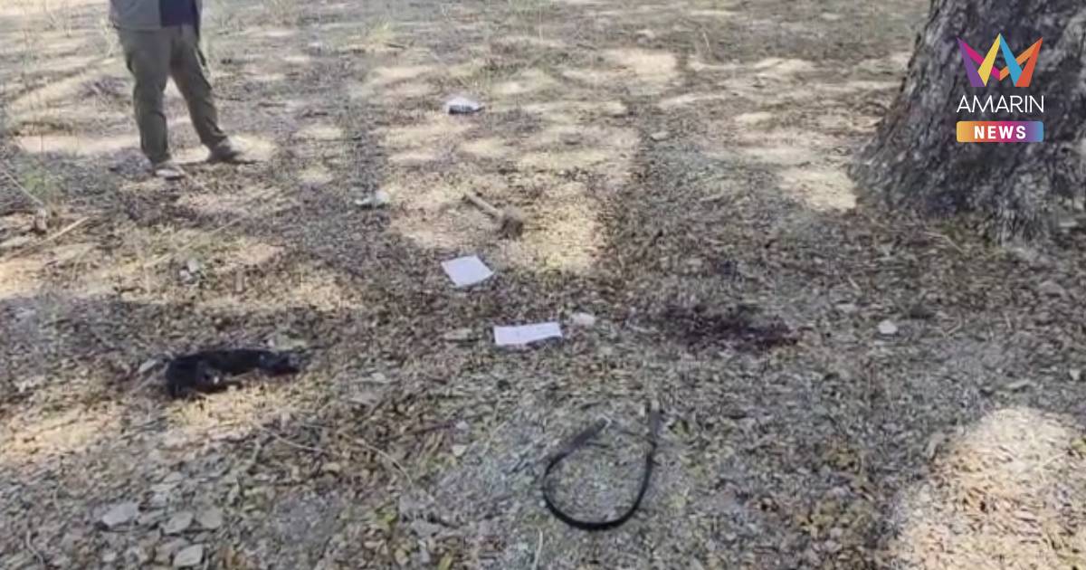 สาวสองถูกคู่รักลวงข่มขืนฆ่าชิงทรัพย์ ใช้ท่อนไม้ตีหัวจนเสียชีวิตกลาง