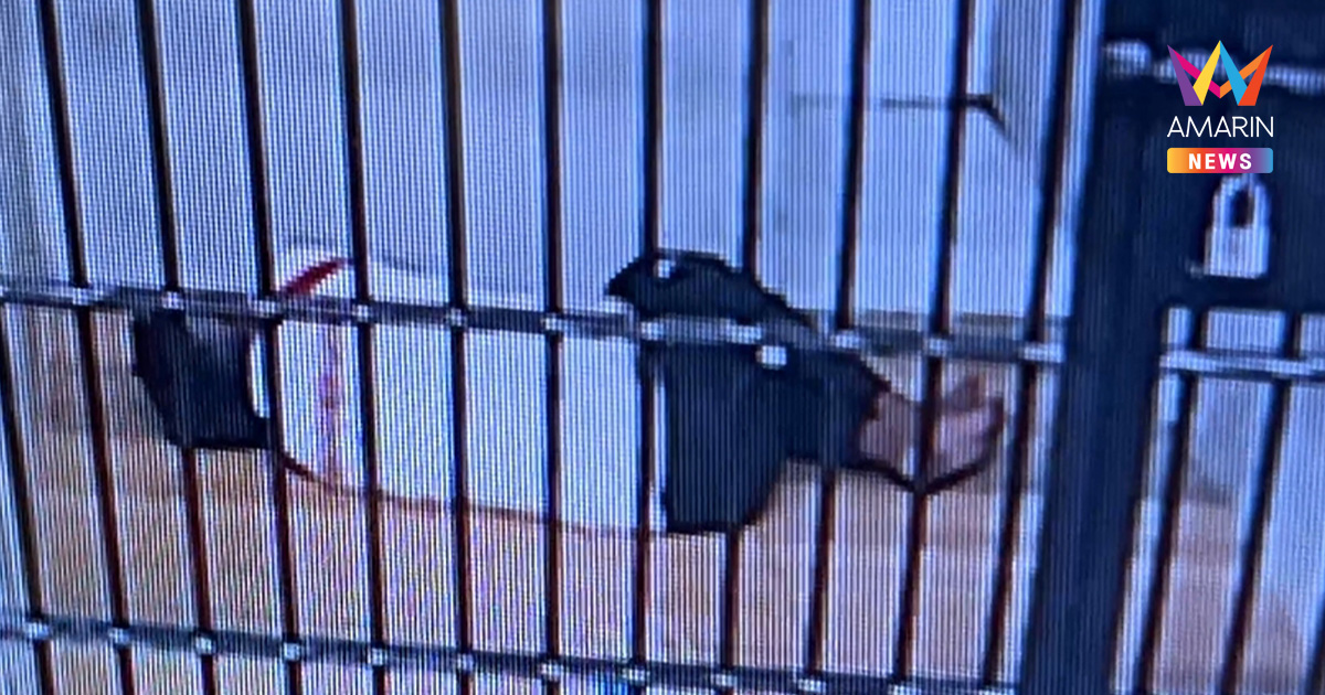 "ตี๋อีโต้คลั่ง" สับเพื่อนบ้านเละ นอนสบายใจเฉิบในห้องขัง รอฝากขังวันนี้