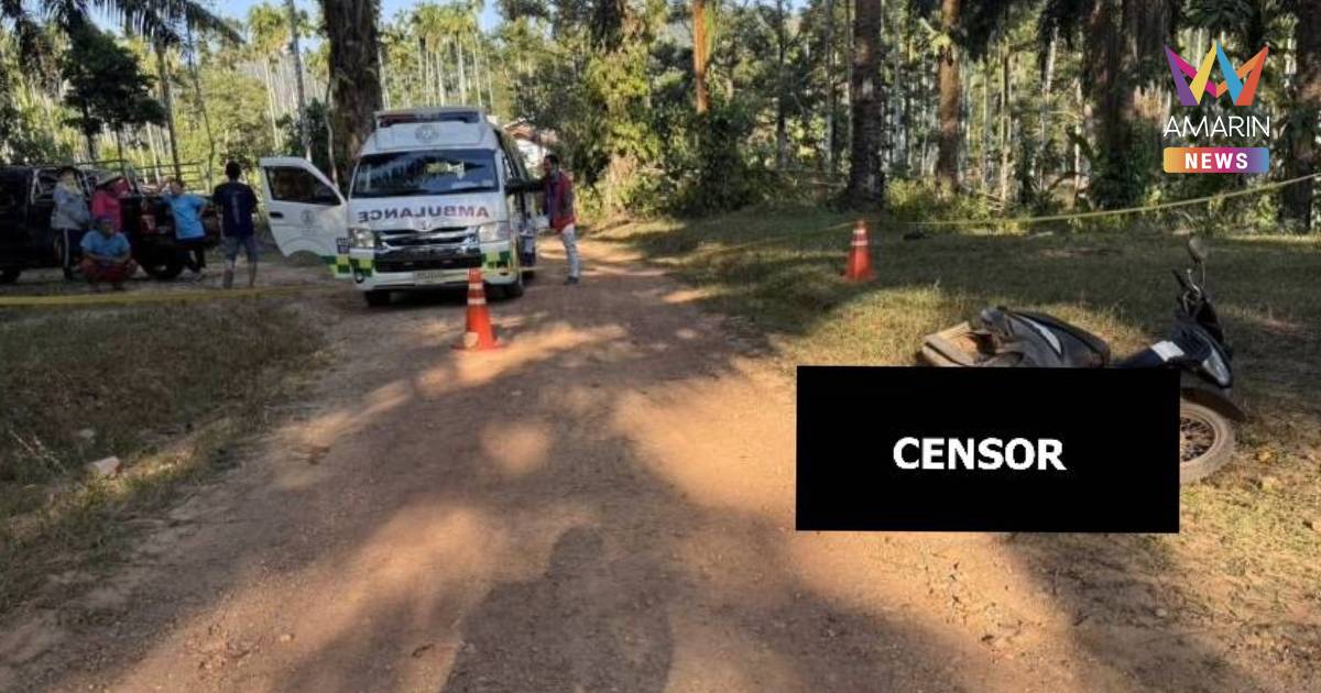 ดับเดือด! ทะเลาะที่ดิน–น้ำรดทุเรียน ชาย 75 ทุบทำร้ายชาย 60 ดับ