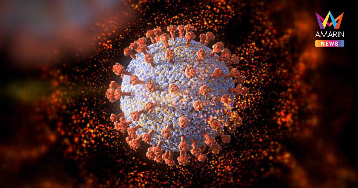 "หมอยง" เปิดความเสี่ยงเกิด "ไวรัสนิปาห์" และการป้องกันในไทย