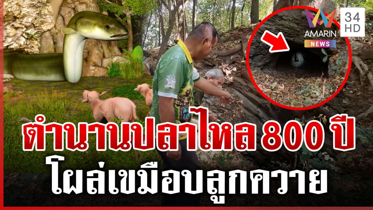 สะพัด! ตำนานปลาไหลยักษ์800ปี โผล่เขมือบลูกควาย ชาวบ้านขออย่าริพิสูจน์