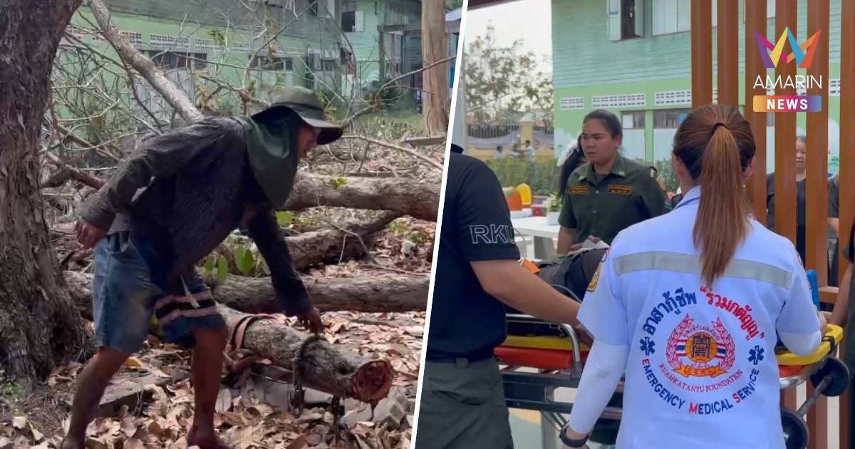 คนงานปีนตัดต้นไม้ เจอกิ่งผุหักร่วงลงพื้น ถูกต้นไม้ทับร่างอาการสาหัส