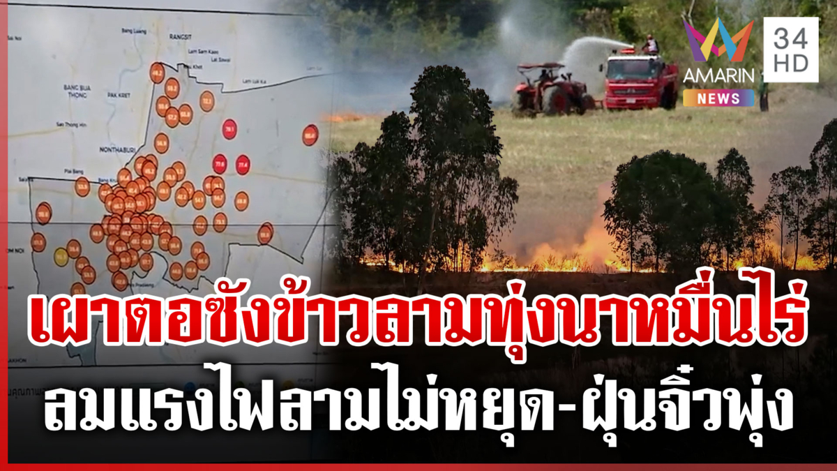 มือมืดลอบเผาตอซังข้าวลามไหม้ทุ่งนา-ฝุ่นจิ๋วถล่ม กทม.ประกาศ WFH