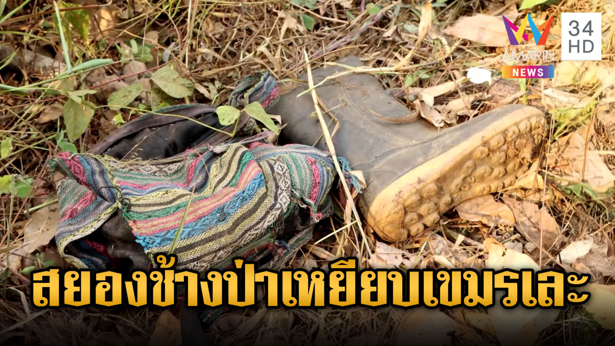 หนุ่มเขมรตายสยอง โดนช้างป่าเหยียบร่างสิ้นใจ