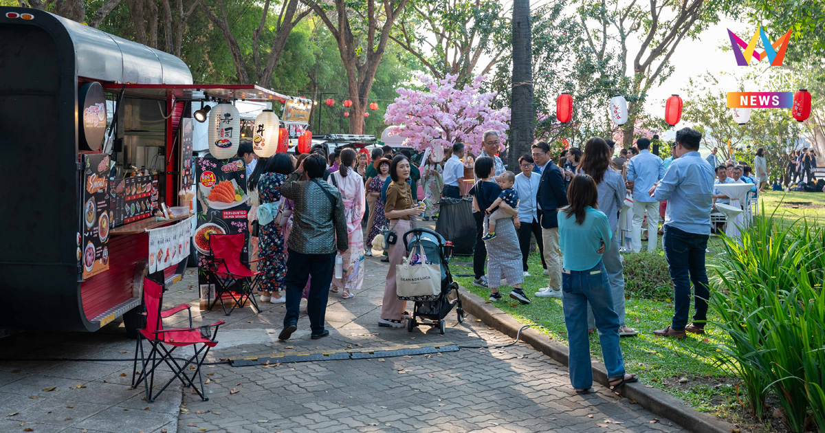 เทศกาลชมดอกซากุระ 2569 หมู่บ้านญี่ปุ่น อยุธยา