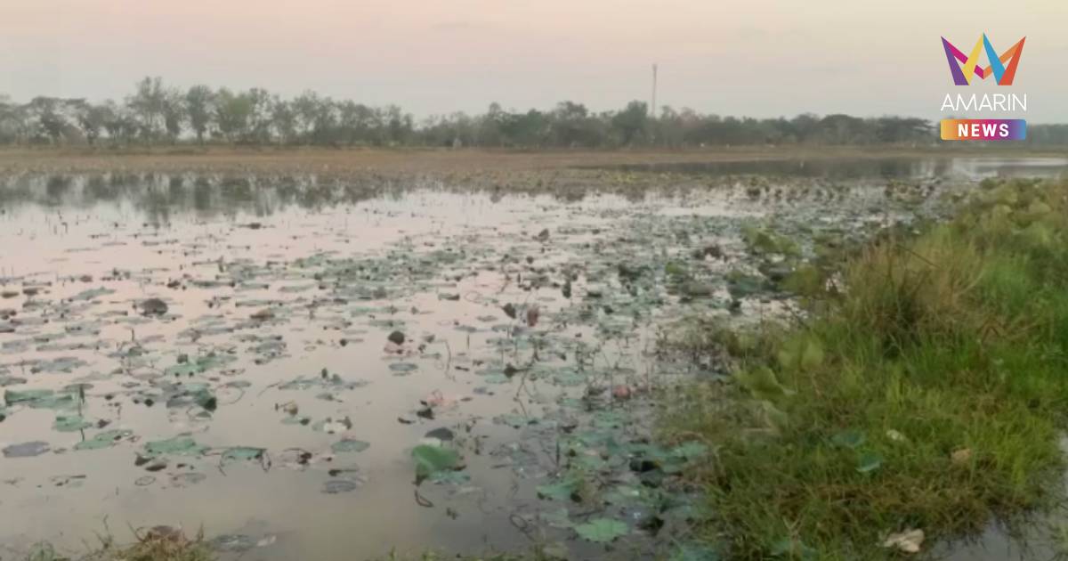 สลด!วัยรุ่นพายเรือเล่นชมดอกบัว เลียนแบบ “ลิซ่า”เรือคว่ำดับ 1