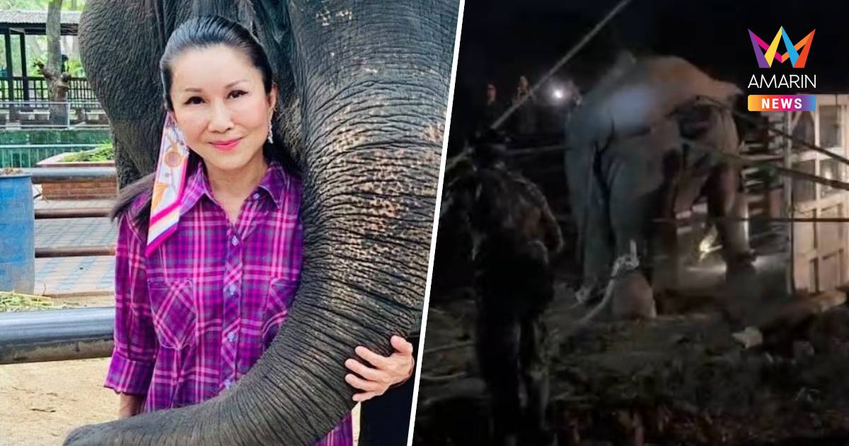 "หนูนา" ฉะ กรมอุทยานฯ สำนึกในหน้าที่บ้างไหม? ปม ยิงยาสลบ "สีดอหูพับ"