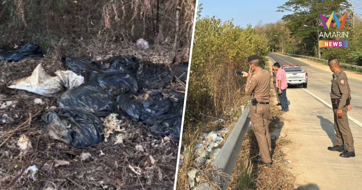 ฝีมือใคร? ทิ้งซากไก่ ริมทางเหม็นเน่าทั่วหมู่บ้าน