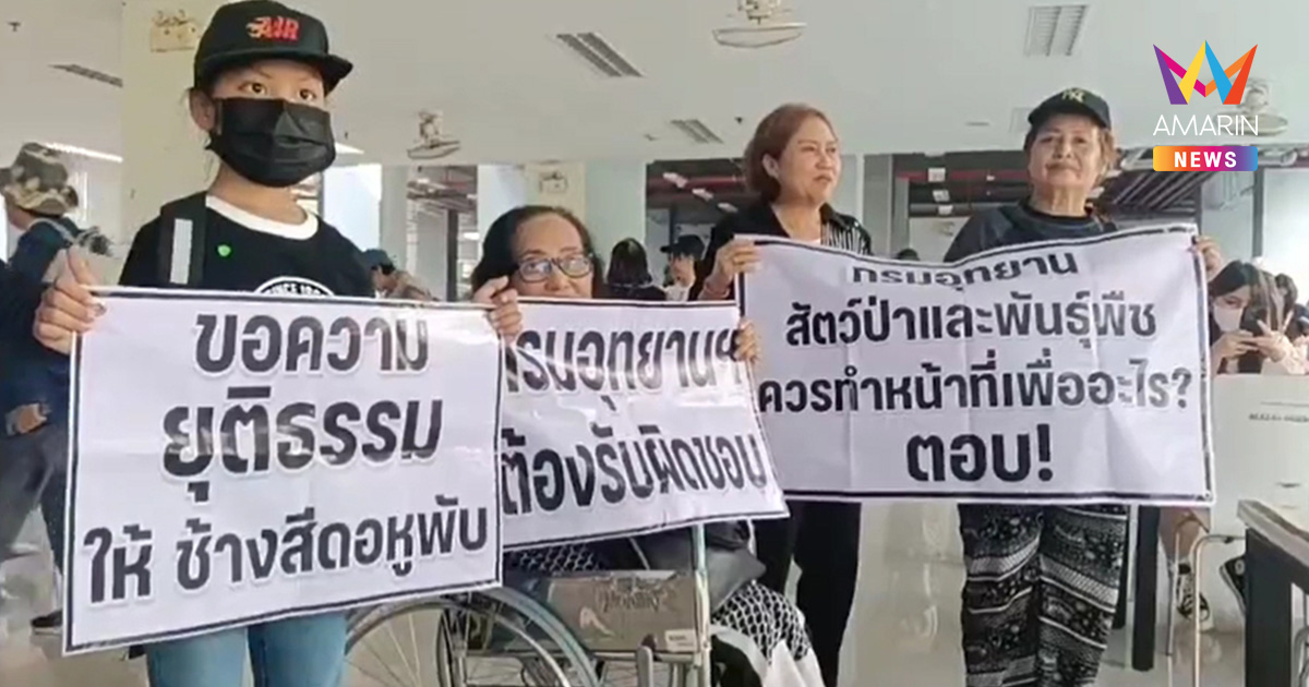 กลุ่มคนรักสัตว์สุดทน! รวมพลทวงความยุติธรรมให้ช้างป่า "สีดอหูพับ"