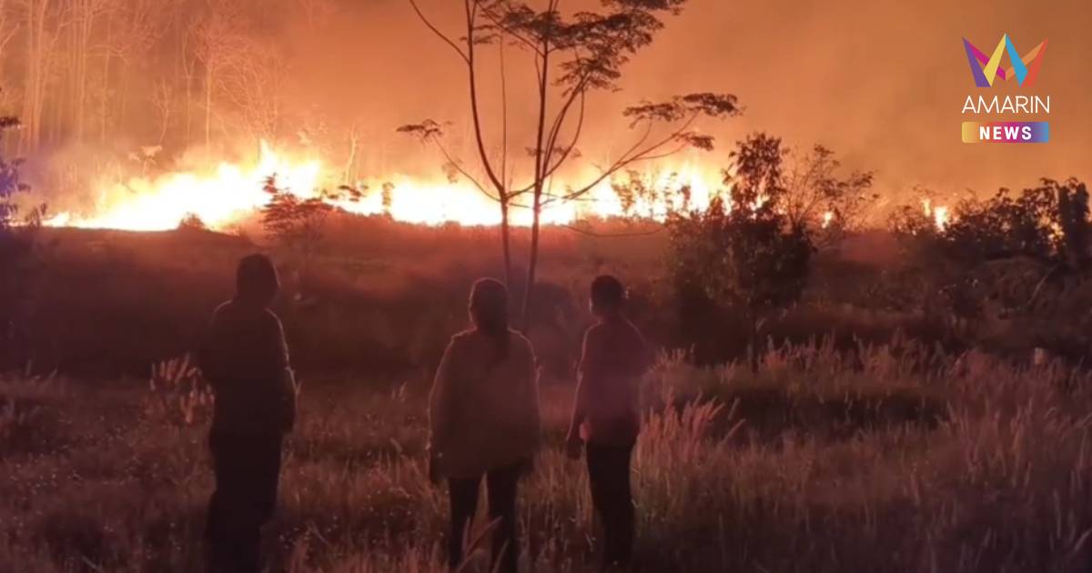 ไฟป่าลามไหม้ สถานีวิจัยสิ่งแวดล้อมสะแกราช โคราช เกือบ 4,000 ไร่แล้ว
