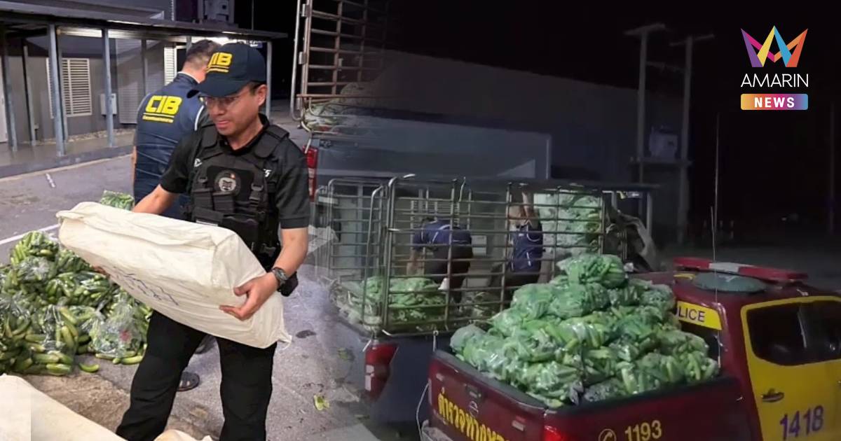 สกัดบิ๊กล็อตยาบ้า 10 ล้านเม็ด ซุกใต้กองแตงกวา มูลค่ากว่า 500 ล้าน