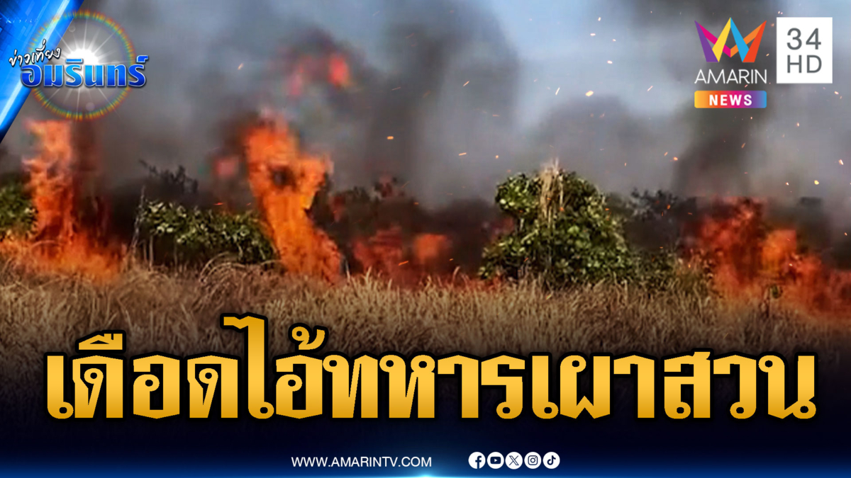 เขมรด่ากันเอง! ชาวบ้านเดือดทหารเผาป่า สวนมะม่วงหิมพานต์เหลือแค่ซาก