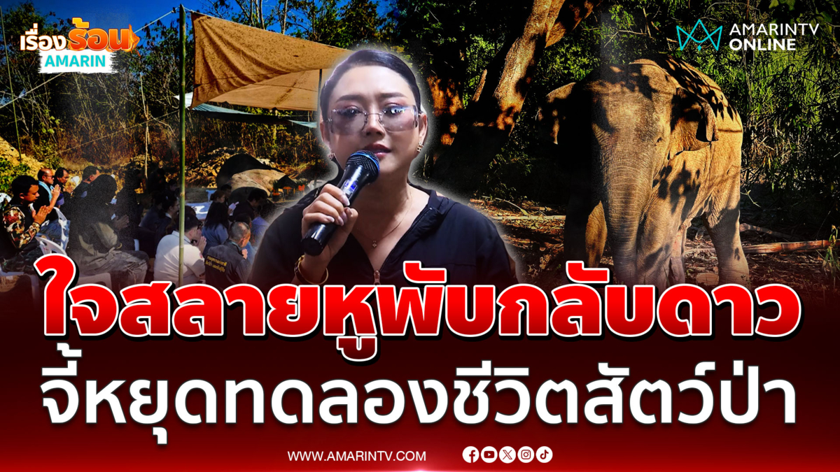 หญิง ธิติกานต์ ใจสลายรู้ข่าว สีดอหูพับ จี้อธิบดีกรมอุทยานฯลาออก 